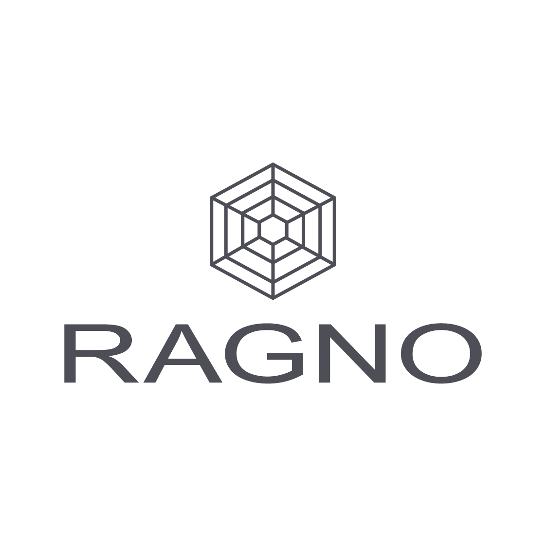 Logo Ragno